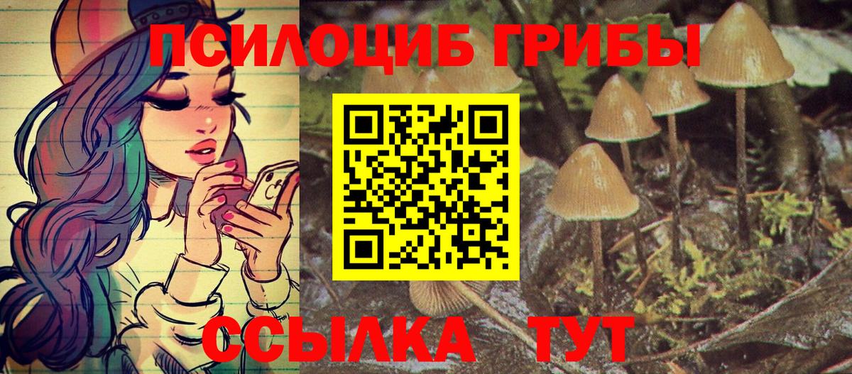 Галлюциногенные грибы Magic Shrooms Шахты